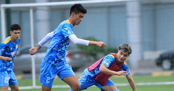 KJC cược thể thao